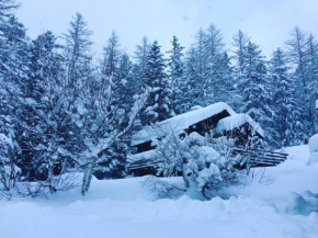 CHALET en station de ski, avec vue, au calme